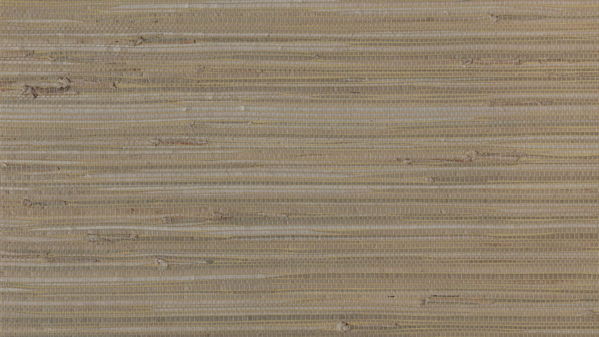 Seagrass Wallpaper SAV09